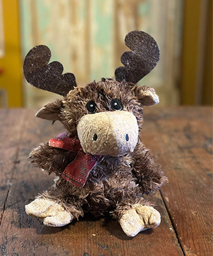 Winter Brown Moose - Balsam Fir