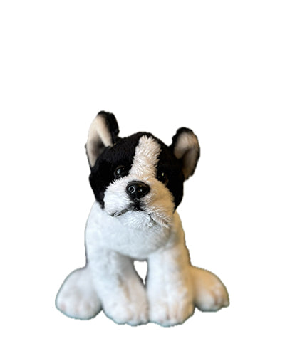 Boston Terrier - White Tea & Thyme